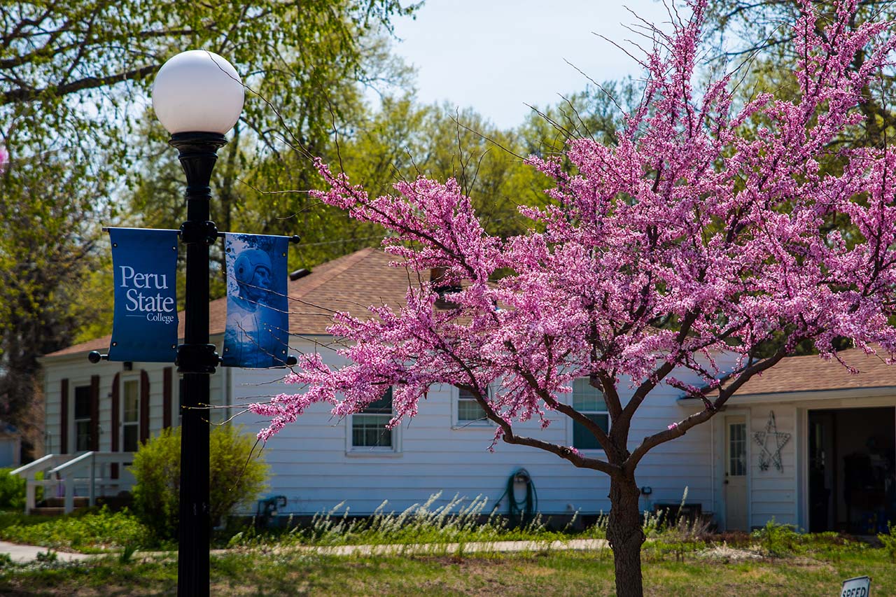 an exterior image of peru state camus with blooming flowers