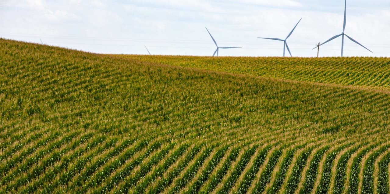a field with wind turbines