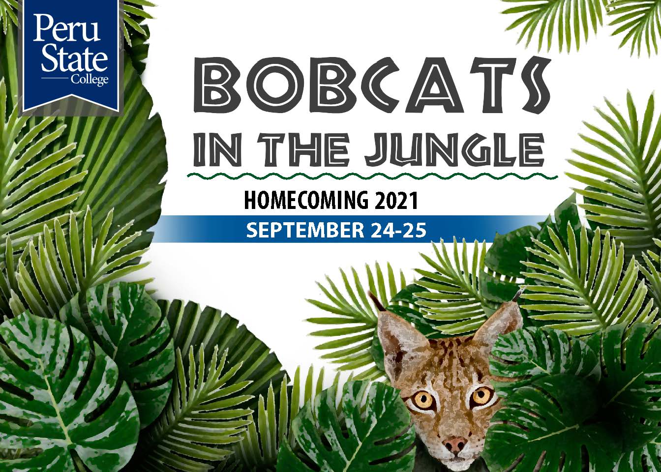 Bobcats in the Jungle